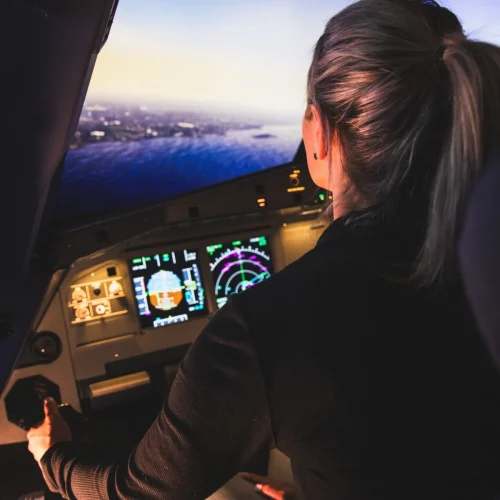 Aux commandes