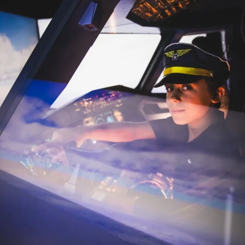 Aux commandes